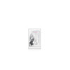 Gode jelly transparent ventouse taille XS 13cm 